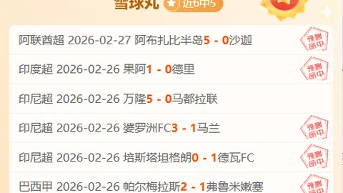 “亚冬会哈尔滨：新春庆典展现中华风采的璀璨之光”